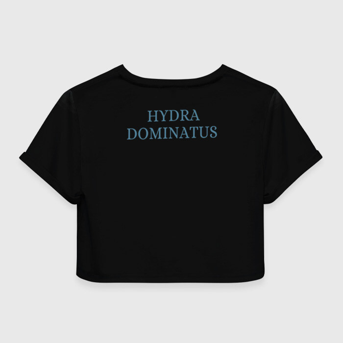 Замена hydra