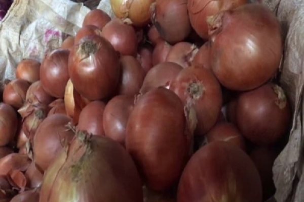 Магазины наркотиков