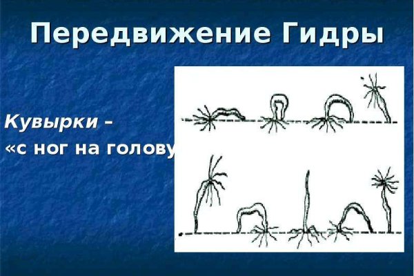Что продают на сайте кракен